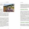 topinambur-buch-praxiswissen-fuer-anbau-und-verwendung-weitere-ansicht